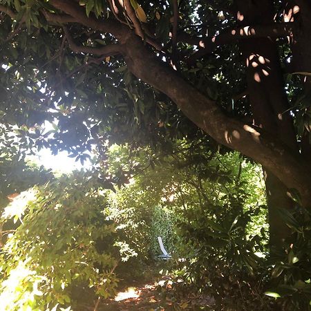 Villa Cardano Maccagno Close To Every Destination Bagian luar foto
