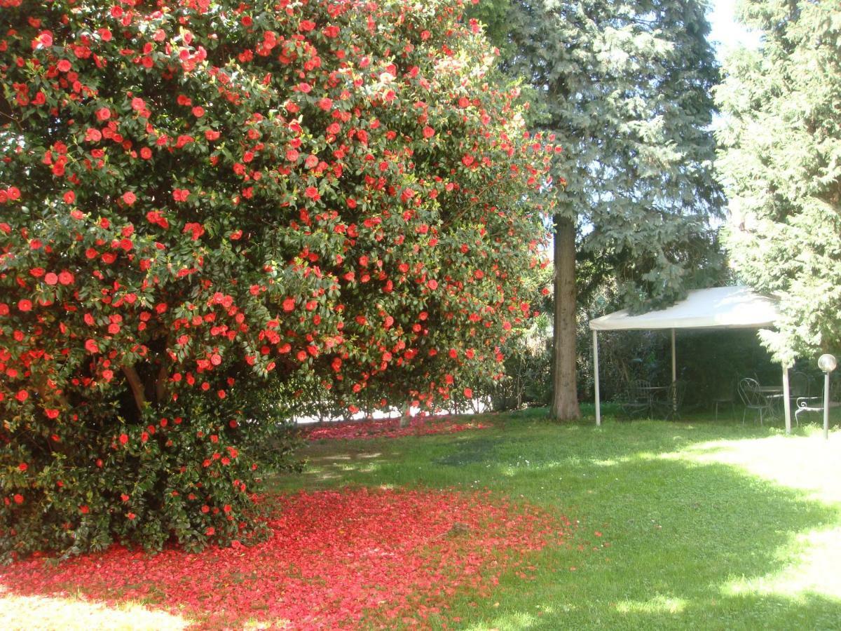 Villa Cardano Maccagno Close To Every Destination Bagian luar foto